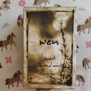 WEN Cleansing Conditioner